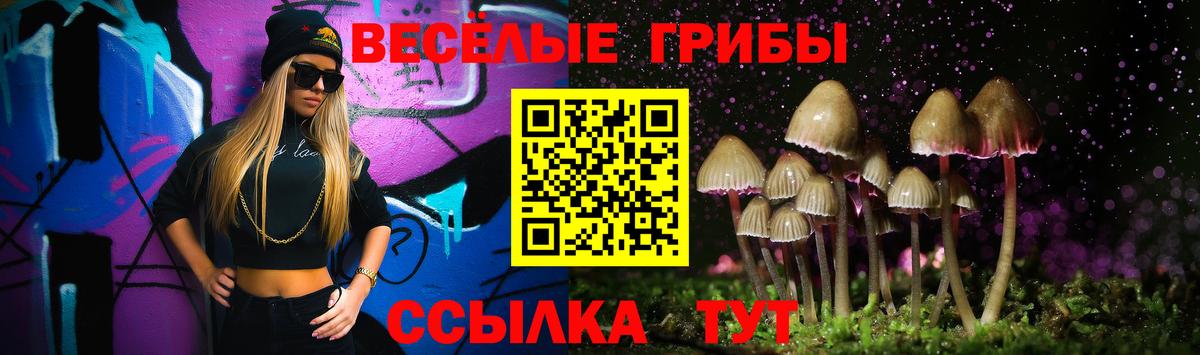 Псилоцибиновые грибы мухоморы  Псилоцибиновые грибы мицелий  Новозыбков  Вход с VPN 