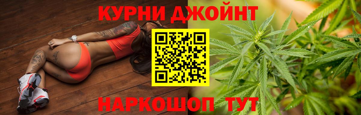 Новозыбков  Канабис планчик  Вход с VPN  Канабис сатива  Бошки Шишки OG Kush 